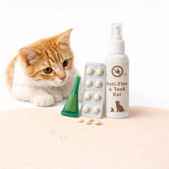 Anti-vlooien & ontworming voor katten