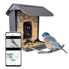 Voer- & waterbakken vogels