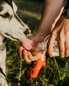 Drinkflessen voor onderweg