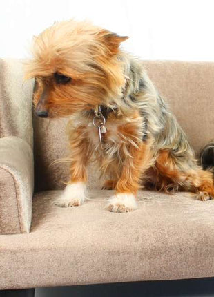 Kleintiersofa "Mary"
