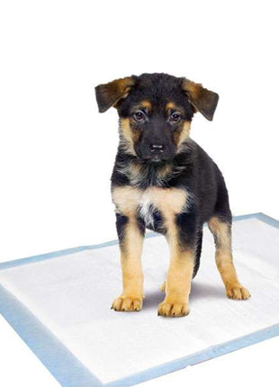 Karlie Flamingo Puppy Pads Trainingsmatten