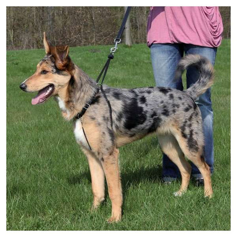 Trixie Easywalk Basic Erziehungsgeschirr