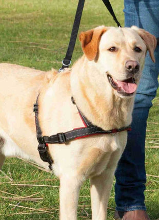 Trixie Trainingsgeschirr Lead'n'Walk Soft - XS-S