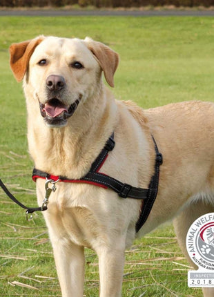 Trixie Trainingsgeschirr Lead'n'Walk Soft