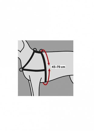 Trixie Trainingsgeschirr Lead'n'Walk Soft