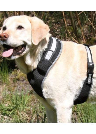Trixie Flash Softgeschirr