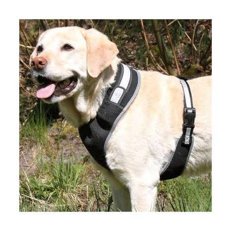 Trixie Flash Softgeschirr