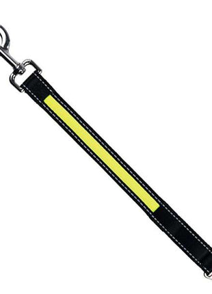 Flash Leuchteinheit USB für die Leine