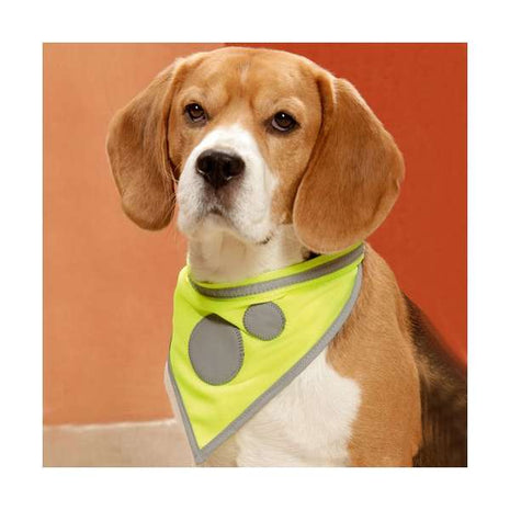 Karlie Safety Dog Sicherheitshalstuch