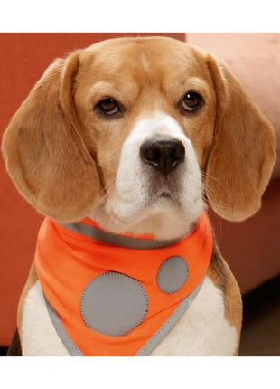 Karlie Safety Dog Sicherheitshalstuch