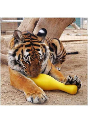 Tuggo Shake N Fetch - Medium
