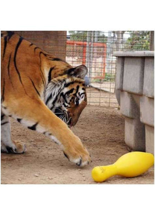 Tuggo Shake N Fetch - Small