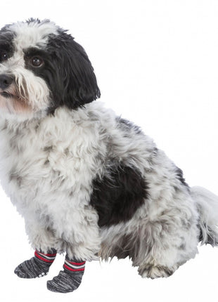 Trixie Hundesocken