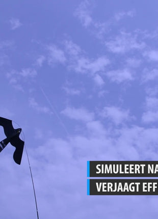 Birdshield Vlieger