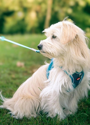 Zolux Szelki oddychające z siatki M granatowe