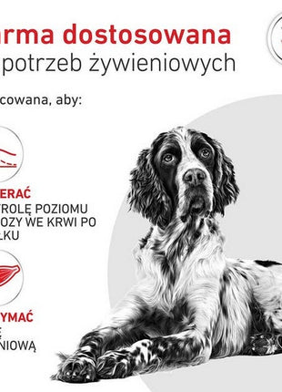 Royal Canin Veterinary Diet Canine Glycobalance Low Carbohydrate Loaf puszka 410g