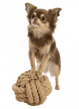Trixie BE NORDIC Tau-Ball für Hunde - 18 cm