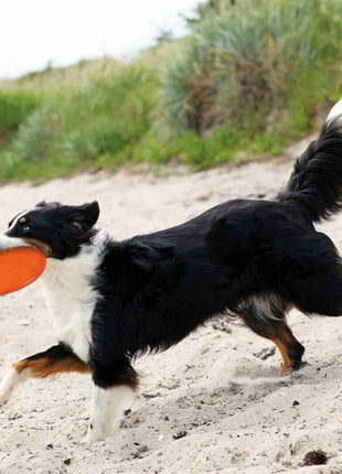 Trixie TPR Dog Disc, schwimmfähig