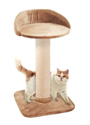 Karlie Kratzbaum BIG CAT 2