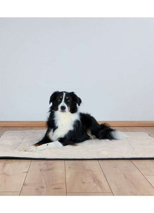 Trixie Hundedecke Cody - 125 x 100 cm, schwarz/beige