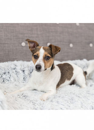 Trixie Polster-Schondecke Harvey