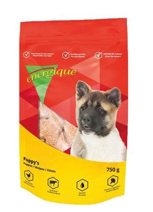 Energique Nr 2 Puppy