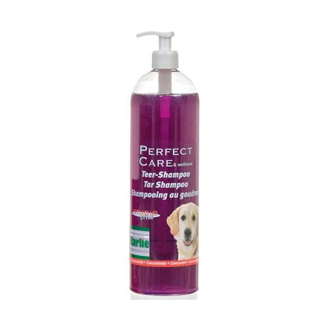 Karlie Teer-Shampoo
