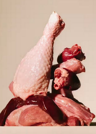 Carnilove Dog Turkey & Buffalo - indyk i bawół saszetka 300g