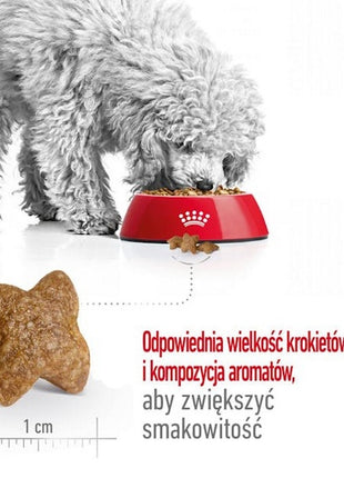 Royal Canin Mini Adult karma sucha dla psów dorosłych, ras małych 4kg