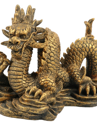 Aqua Della Zodiac Drache