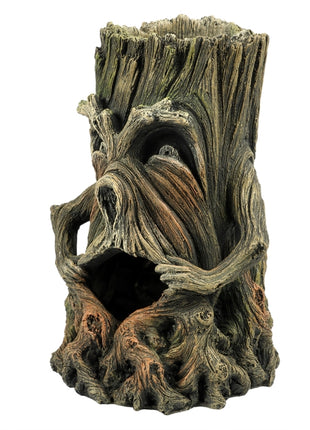 Aqua Della Baum mit Gesicht 1