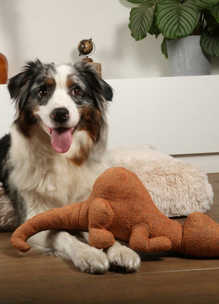 D&D Hundespielzeug Quasi Chenille