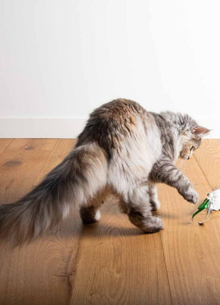 EBI Cat Toy Mouse on the move