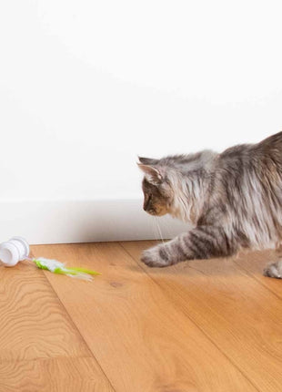 EBI Cat Toy Racing Roller