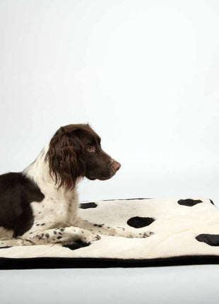 Coockoo Hundedecke Domino Dream