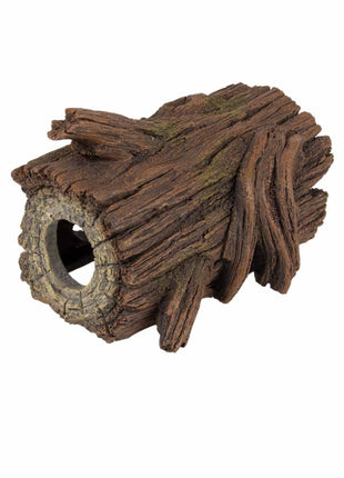 Aqua Della Zucht-Höhle Baum