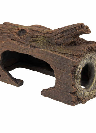 Aqua Della Zucht-Höhle Baum