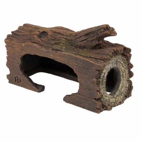Aqua Della Zucht-Höhle Baum