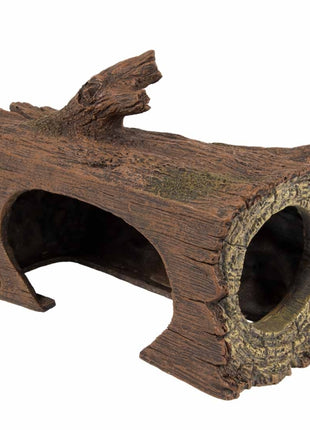 Aqua Della Zucht-Höhle Baum