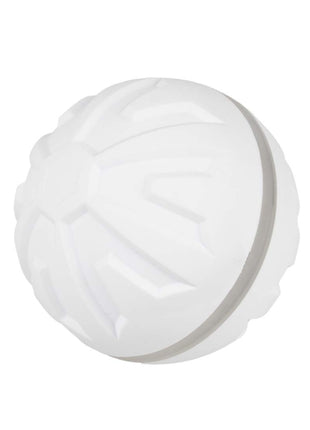 EBI Dog Toy Boogie Ball
