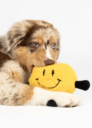 Coockoo Hundespielzeug Bouncy Buddy