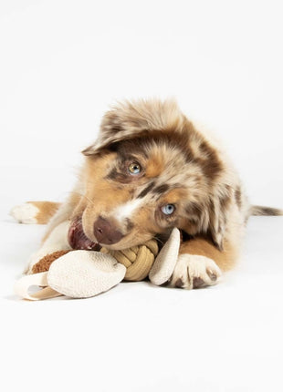 D&D Hundespielzeug Jule