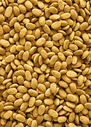 Nutribird P15 Original Onderhoudsvoeder