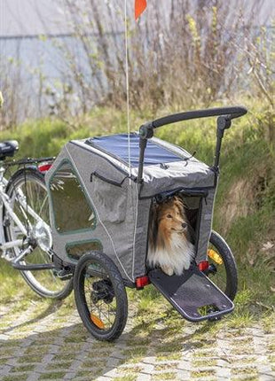 Trixie Fietskar Grijs / Salie