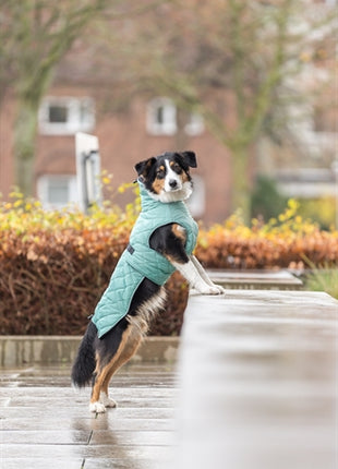 Trixie Citystyle Be Eco Hondenjas Oslo Gerecycled Jade Groen