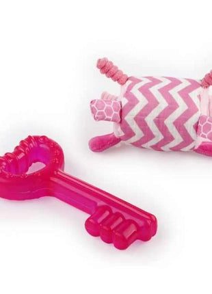 All for Paws Little Buddy - Teething Key Rosa