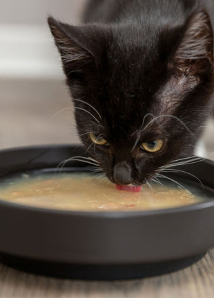 Trixie Kittis Salmon Soup - 4 × 80 g