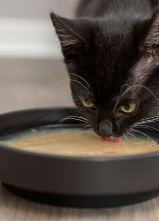 Trixie Kittis Shrimp Soup - 4 × 80 g