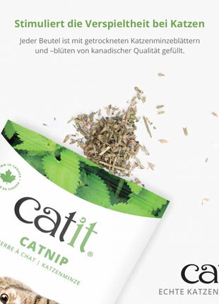 Catit Echte kanadische Katzenminze