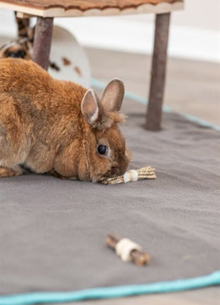 Trixie Set Sticks Met Luffa / Schorshout / Zeegras